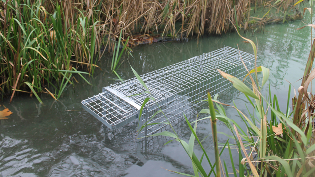 Profesionální odchytová past na kuny, norky, tchoře, kočky a malé psy- ZL80x34x34 obr3
